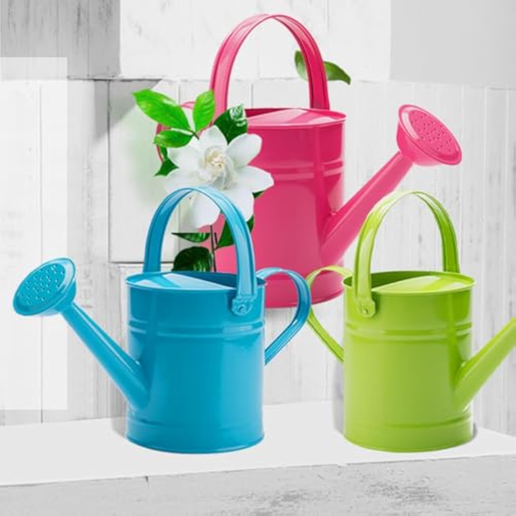 Leakproof Garden Watering Can for Home & Backyard